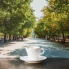 1352 CERERIA INTRONA SRL Bougies & Parfums D'intérieur-Bougie - Tasse à café