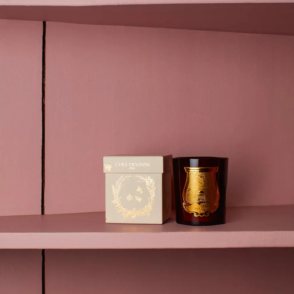 241 SAS CIR Bougies & Parfums D'intérieur-Bougie parfumée Trudon 270 g - Cire