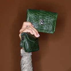 Femme Claris Virot Porte Monnaie|Porte Monnaie-- Porte Carte Python Alex - Vert