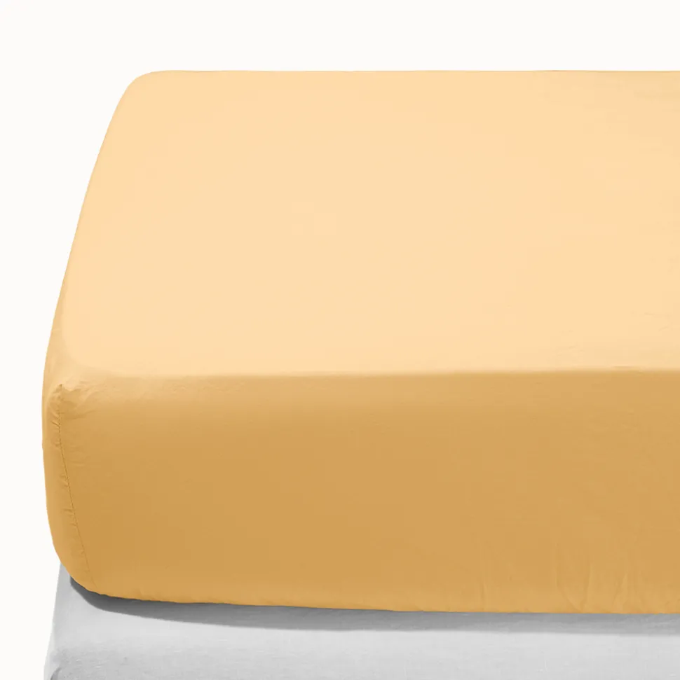 1700 COTEX Draps Housse-Drap-housse en percale de coton - Jaune Orge