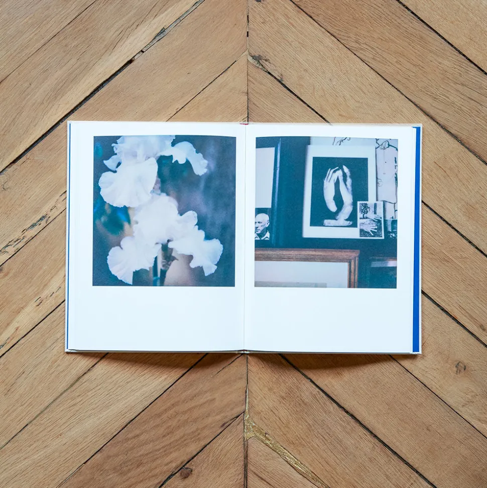 1212 INTERART Livres-Livre - François Halard : 56 Days in Arles