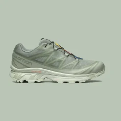 Homme SALOMON Baskets-- Baskets XT-6 GTX - Desertsage/Lilypad