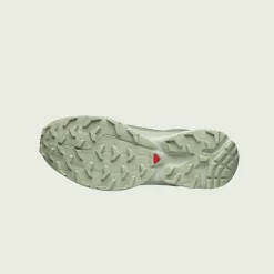 Homme SALOMON Baskets-- Baskets XT-6 GTX - Desertsage/Lilypad