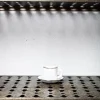 1139 BAZAR DE LUXE Maison De Campagne|Tasses-Tasse ristretto - Blanc